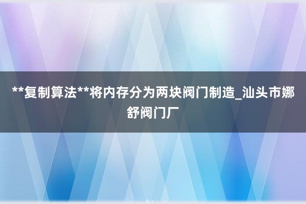 **复制算法**将内存分为两块阀门制造_汕头市娜舒阀门厂